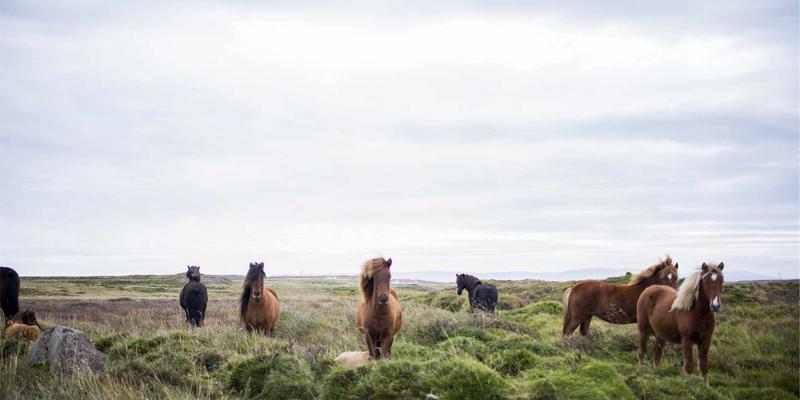 信息聚合时代下的新闻趋势：国内与科技新闻如何重塑我们的认知版图