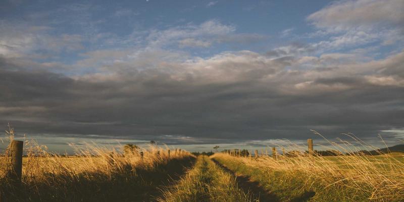 信息聚合时代:如何高效获取国际与财经新闻的深度洞察