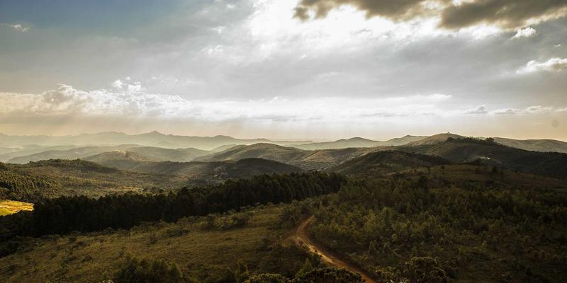 头条财经与科技新闻的真相防线：全球事实核查网络如何狙击跨境虚假信息