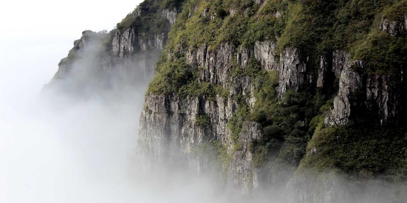 如何精准获取国际与科技新闻资讯？智能推荐时代的高效资讯获取指南