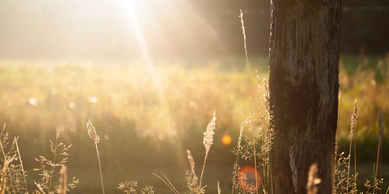 数据新闻的下一站：自动化数据采集与实时可视化仪表盘如何重塑头条财经与科技新闻