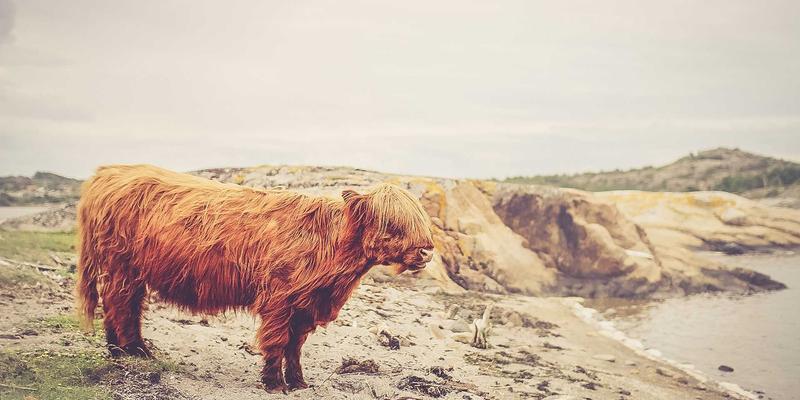 新闻42：解码资讯头条背后的财经密码，把握时代投资脉搏