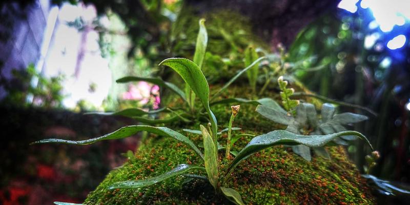 新闻50：信息聚合时代，如何高效获取有价值的国内新闻？