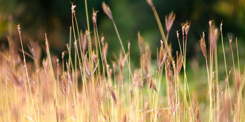 新闻53：信息聚合时代，如何高效获取有价值的国内新闻资讯？