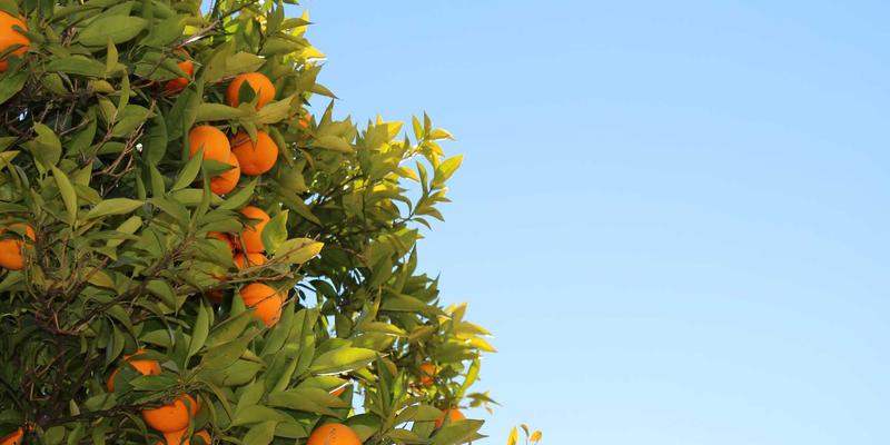 新闻89：科技与国内要闻深度解读，今日头条背后的创新脉搏