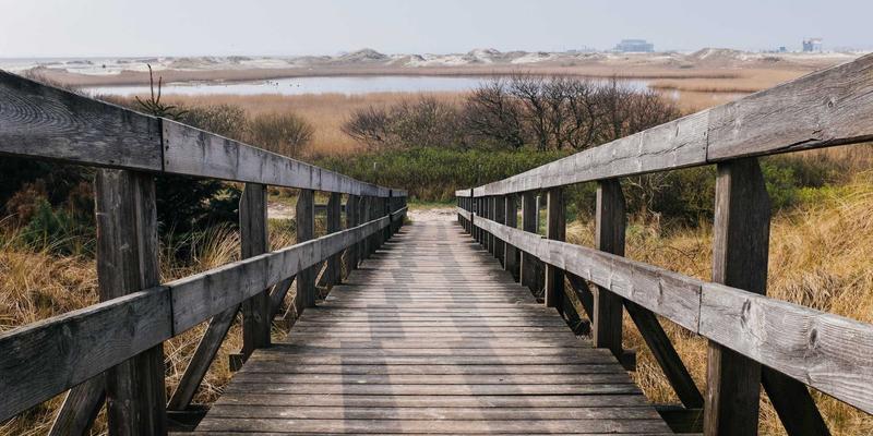 新闻应用深度解析：从头条到资讯，如何高效获取国内新闻