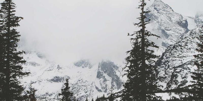 新闻攻略：高效掌握国内、科技与国际新闻的实用指南