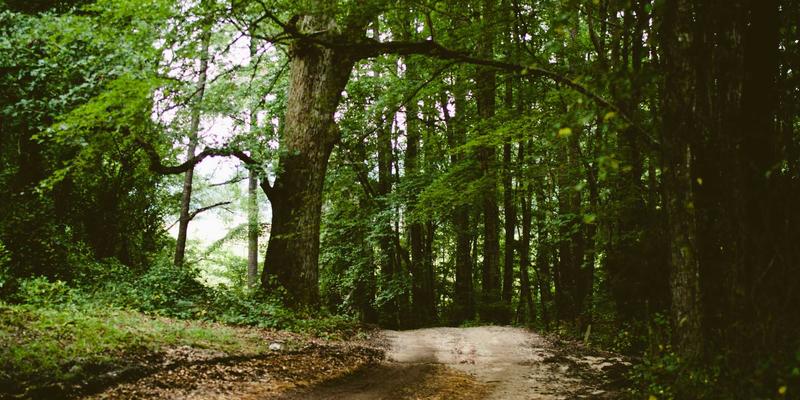 新闻是什么？解析国际、国内与科技新闻的多元面貌与核心价值