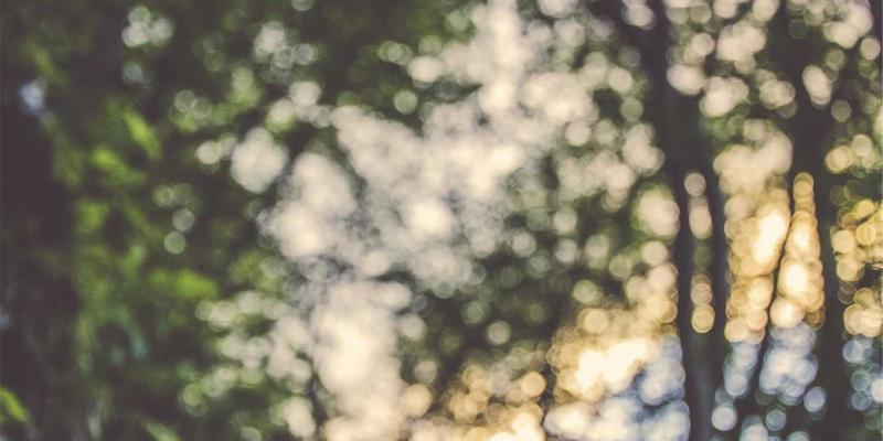 新闻游戏与沉浸式报道：互动技术如何重塑公众对复杂议题的理解