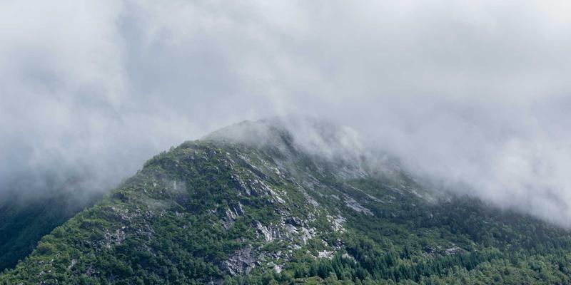 科技新闻档案数字化：信息聚合如何重塑历史报道的保存、检索与当代价值