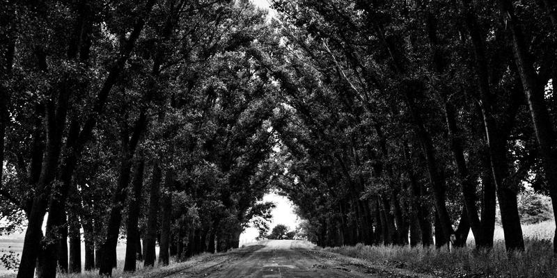 科技赋能与制度护航：冲突地区报道中记者安全的风险管理与权益保障