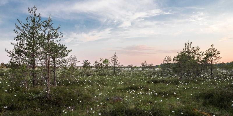 财经头条聚焦：新闻摄影的伦理边界与冲突地区影像传播的道德困境