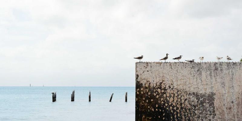 资讯策展平台的角色演变：从聚合科技新闻与财经新闻到价值引导